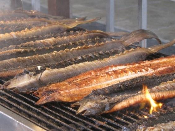 Il Circolo Pd è in festa fra pesce e tradizione 