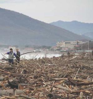 Le tonnellate di materiale portate dall’ultima mareggiata sulla spiaggia