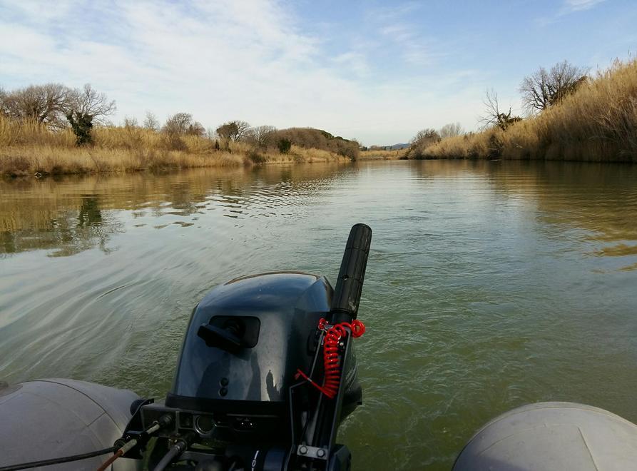 Un momento del viaggio lungo il fiume Cecina