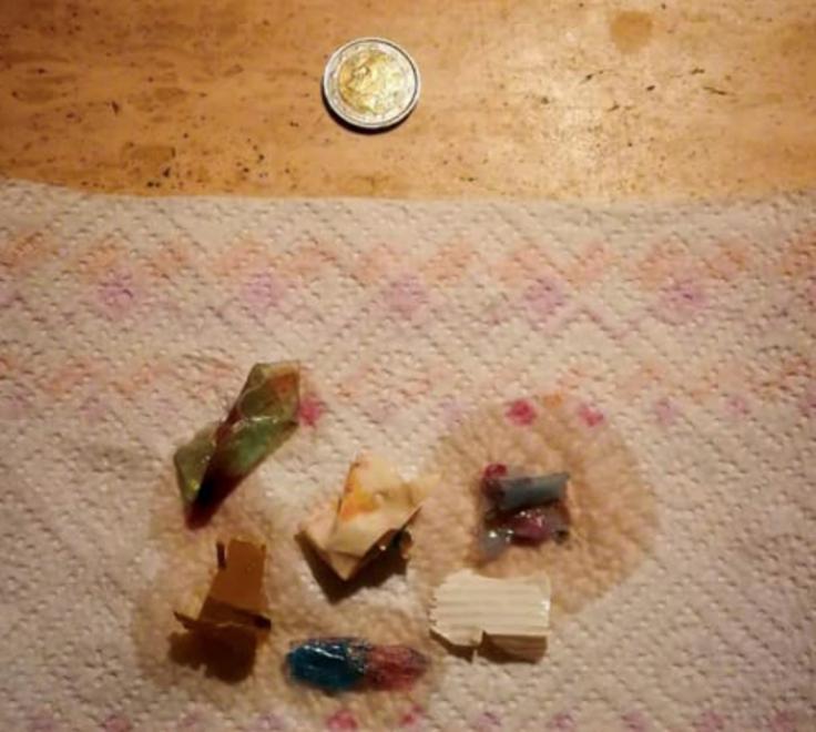 «Sacchetti scambiati per meduse» Dal ventre del pesce alle nostre tavole