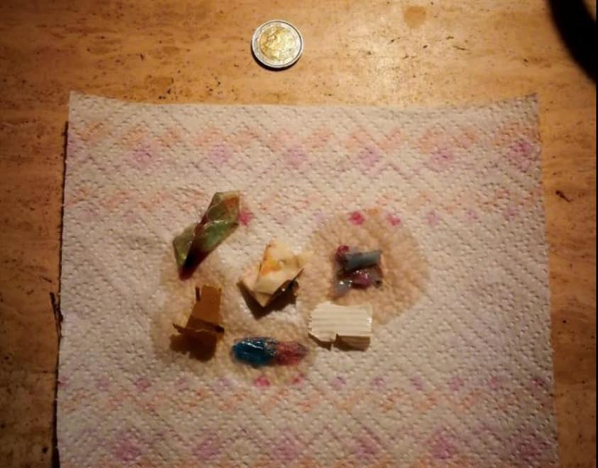 «Sacchetti scambiati per meduse» Così muore il pesce nel nostro mare 