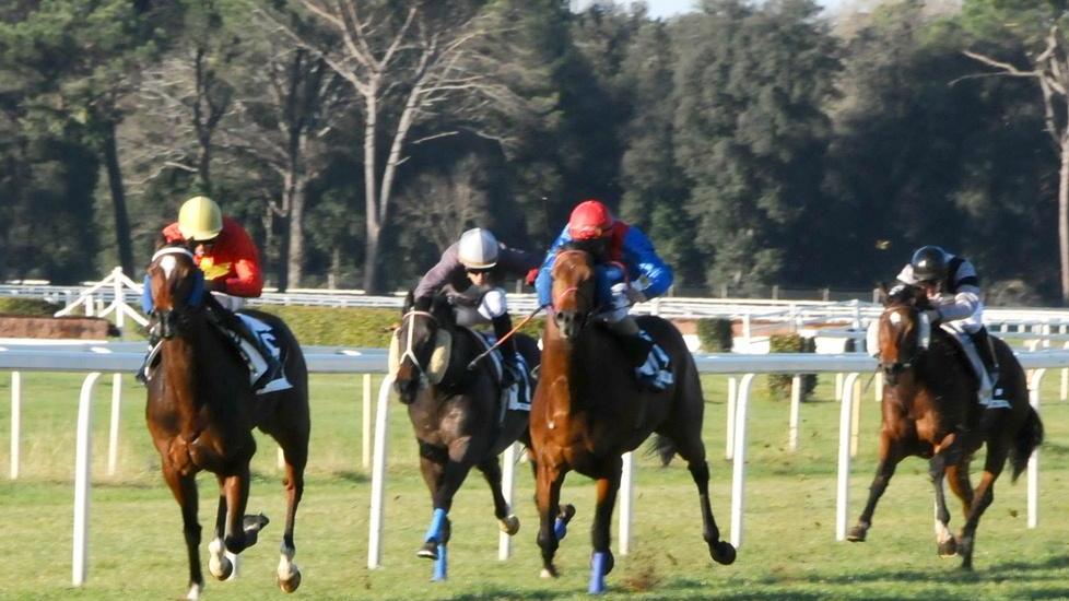 Il premio Bracci Torsi è la gara di centro