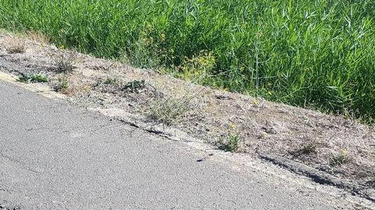 Via degli Affitti, gli abitanti accusano gli amministratori