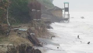 Costa Est distruttacol mare in pinetae senza più spiaggia
