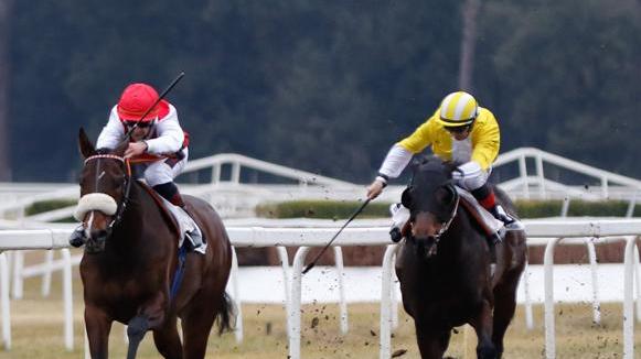 Spettacolo a San Rossore con in pista i big del galoppo
