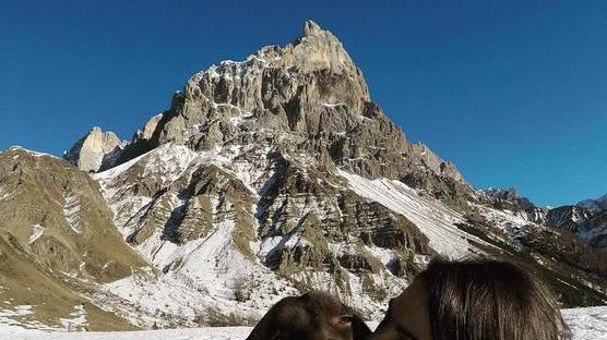 Quattro zampe/ La seconda vita di Giada con Bia «Quei cani sono una vera cura»