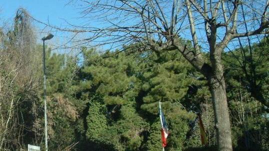 Anche i balneari contro i 120 miniappartamenti