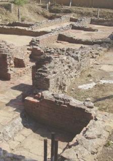 <strong>TURISMO. </strong>In alto a sinistra gli scavi dei resti romani a Massaciuccoli Sopra, visitatori all’oasi Lipu