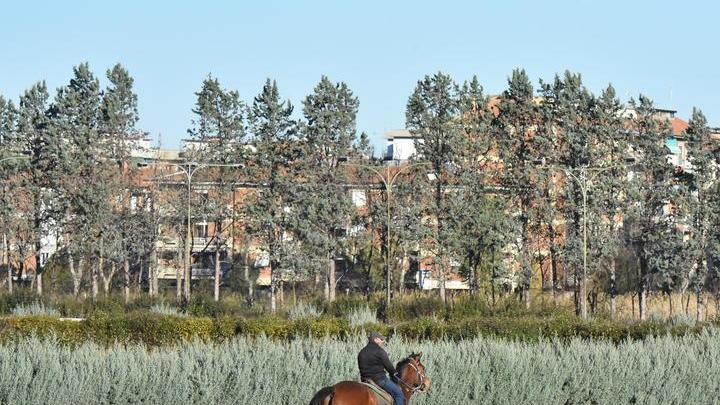 Roma non cancella il Casalone Il legale degli ippici: non è finita