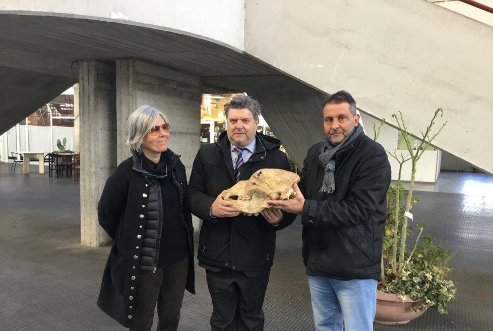 Torna a casa dopo 35 anni l’orso gigante di Equi Terme 