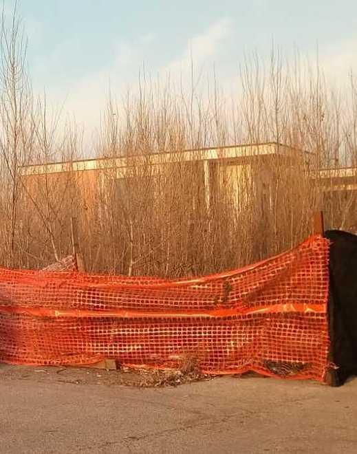 Rischi per la salute Il Comune bonifica l’area abbandonata 