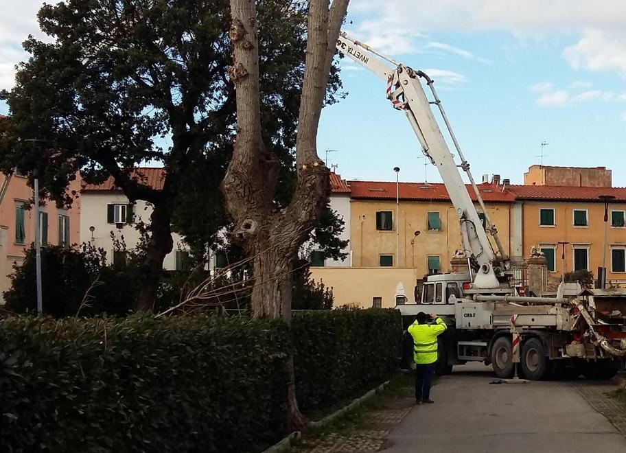 L'isola ecologica di Ardenza apre senza le telecamere