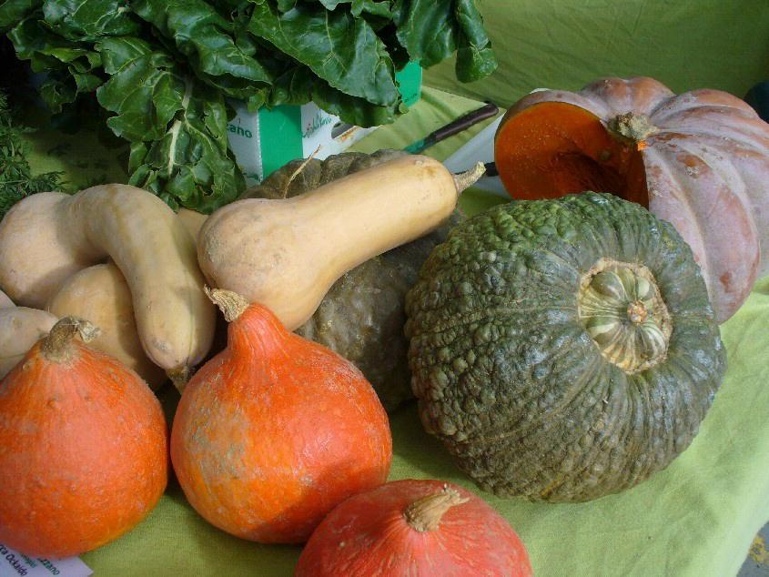 EcorNaturaSì, un euro al litro è necessario