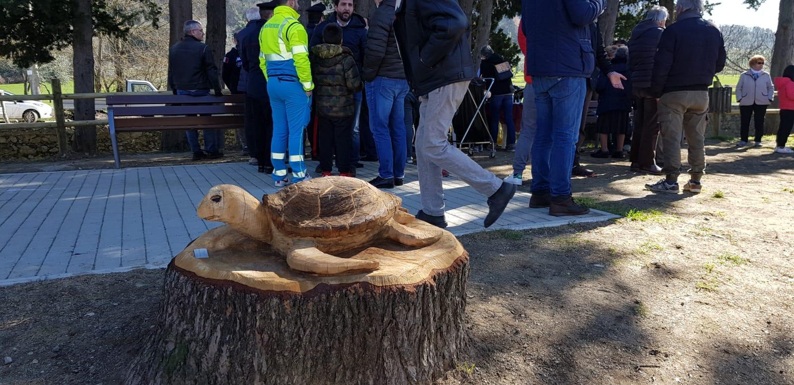 Una tartaruga di legno