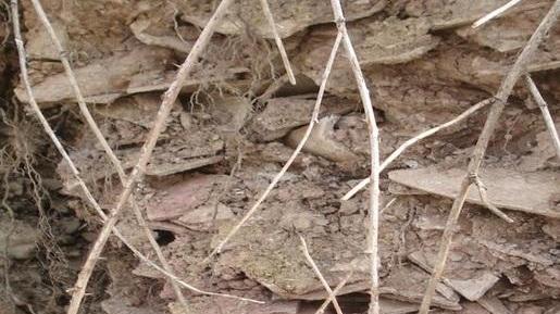 Tiepido e Frattina divisi da muro isolante «Il prossimo passo è la bonifica totale»