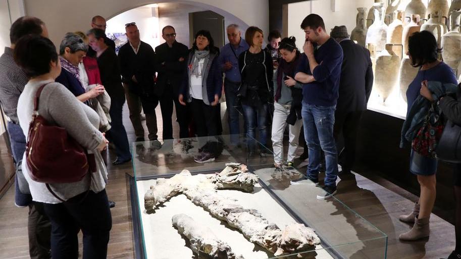 Ferrara rivuole i reperti «Nessuno tocchi il Museo»