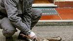 Ambiente, animali avvelenati in un anno casi triplicati