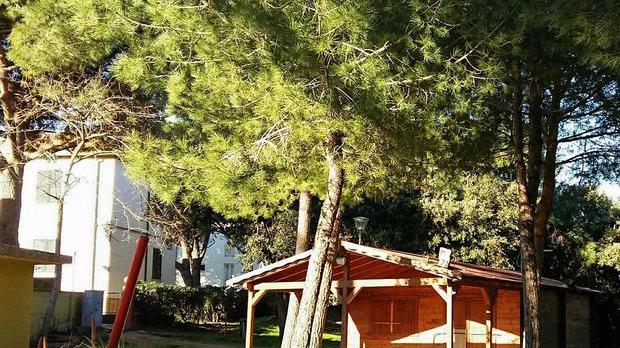 Parco La Pinetina il Comune cerca un nuovo gestore