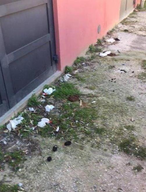Dormono alla Leopolda Clochard allontanati