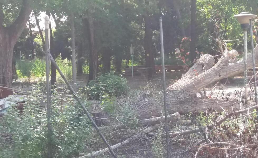 M5s: vietare il cemento nel Parco dei Conigli Ma la norma è inapplicabile