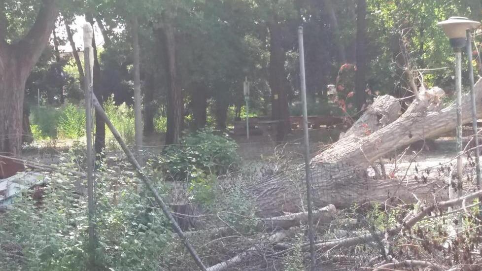 M5s: vietare il cemento nel Parco dei Conigli Ma la norma è inapplicabile