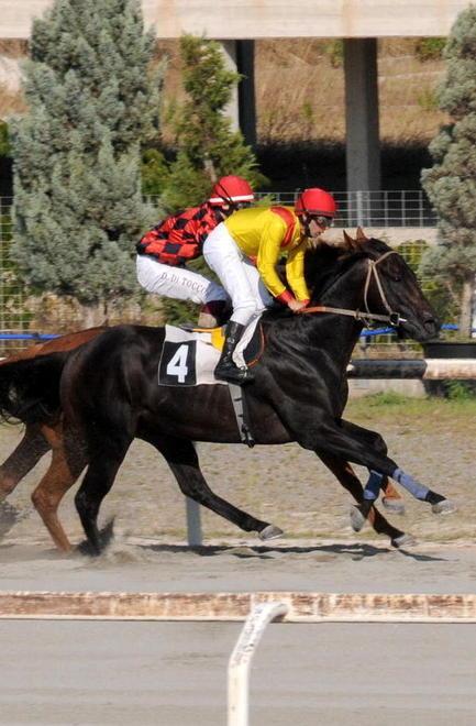 Riapre l’ippodromo dei Pini C’è una riunione di galoppo e il clou è la quarta corsa