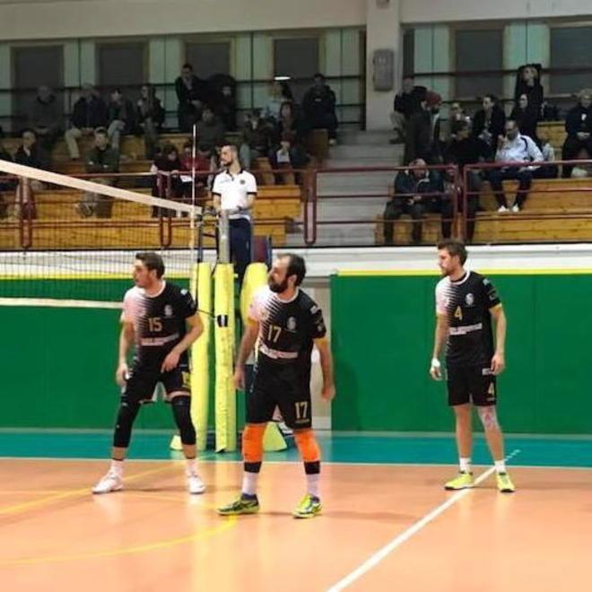 PALLAVOLO