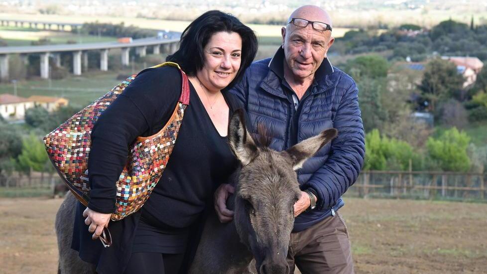 Gigino il cinghialino superstar della cena per gli amici animali