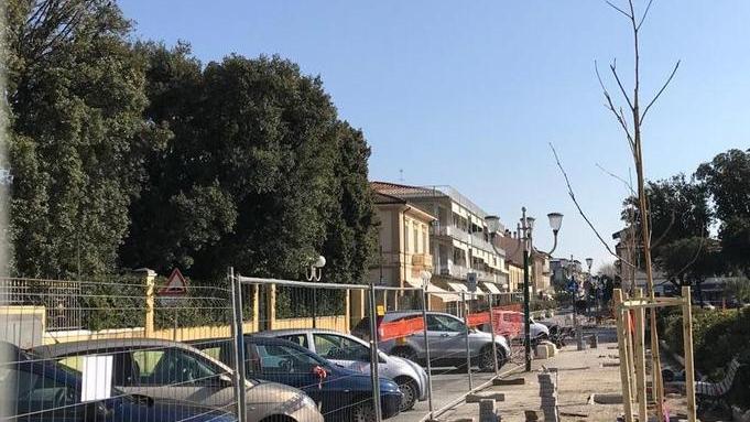 Via al restyling di piazza Dante L’arredo è con platani clonati
