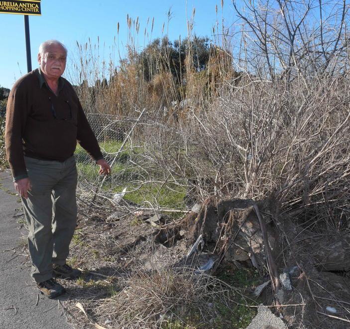 Albero cade nell’orto a ottobre «E nessuno l’ha ancora tolto»