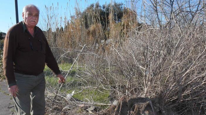 Albero cade nell’orto a ottobre «E nessuno l’ha ancora tolto»