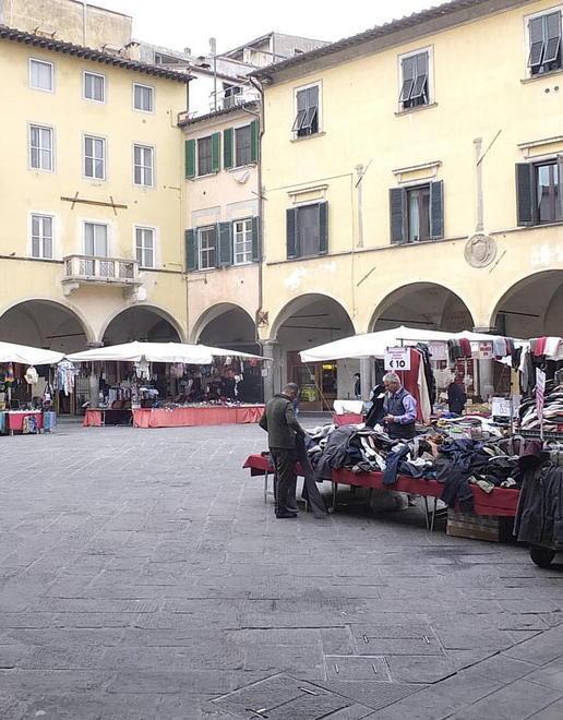«Moschea e Stazione Leopolda sono errori decisivo il terminal turistico sull’Aurelia» 