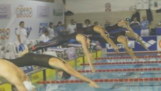 Una gara di nuoto