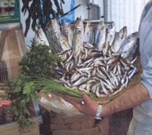 Aria di primavera a Procchiocon la festa del pesce azzurro