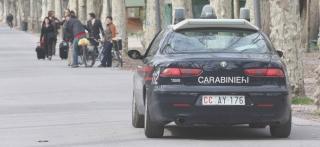  VIAREGGIO. «Guardate quei segni arancioni sui pini: significa che sono tutti ...