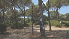 «Il Parco in tutta la costa»