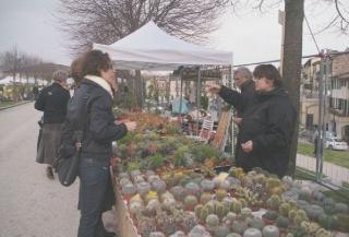 VerdeMura gli espositori erano oltre 100 all’edizione 2010 di questa manifestazione che ha avuto forte richiamo