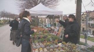 VerdeMura gli espositori erano oltre 100 all’edizione 2010 di questa manifestazione che ha avuto forte richiamo