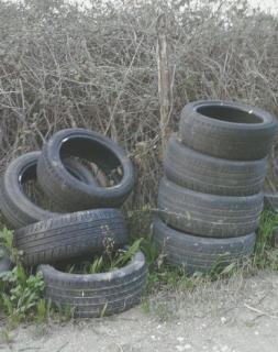 I rifiuti gettati a Ponsacco 
