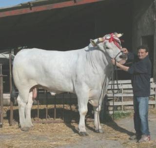 Titano con Rossano Sbarbati