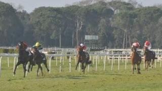 Cavalli in gara a San Rossore (foto d’archivio)