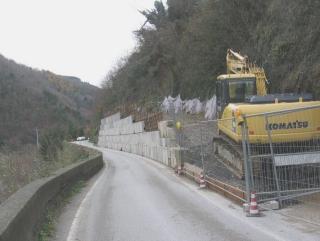 La frana che ha dimezzato la carreggiata della via Mammianese 