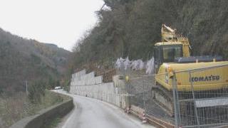 La frana che ha dimezzato la carreggiata della via Mammianese