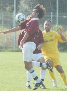 Urso sulla palla 