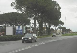 Cuoco di 24 anni ucciso da un'auto