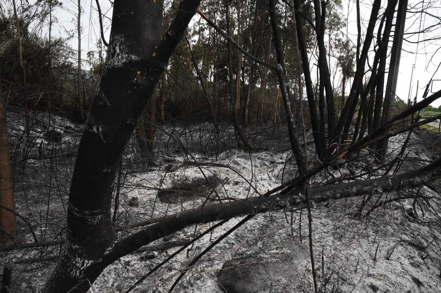 _5