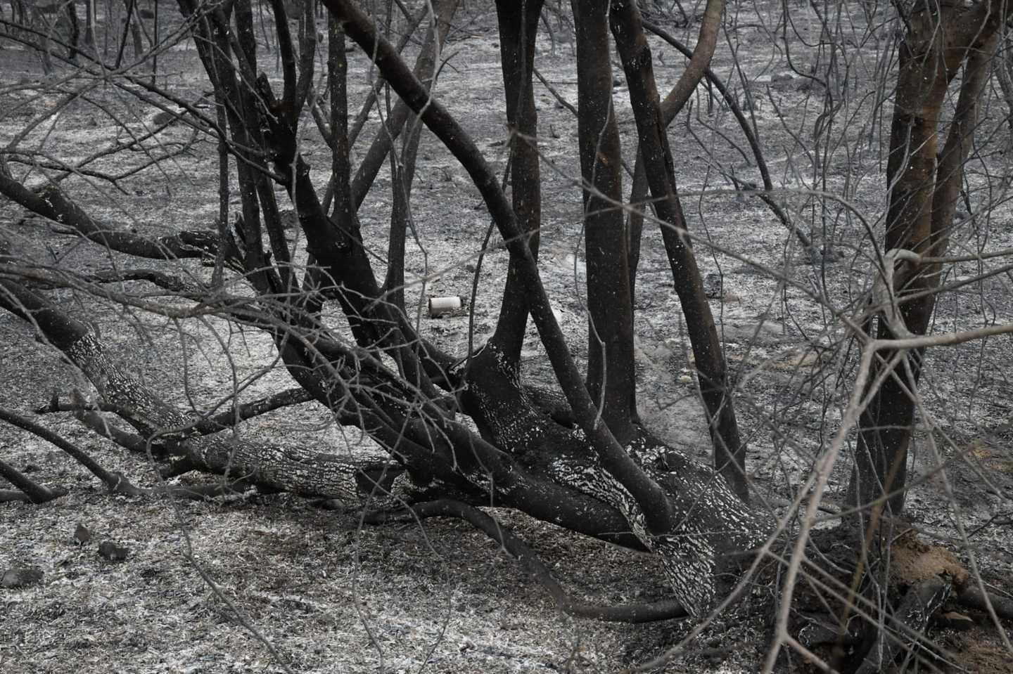 _16