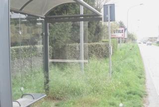 La fermata della navetta in via Squaglia a S. Concordio    