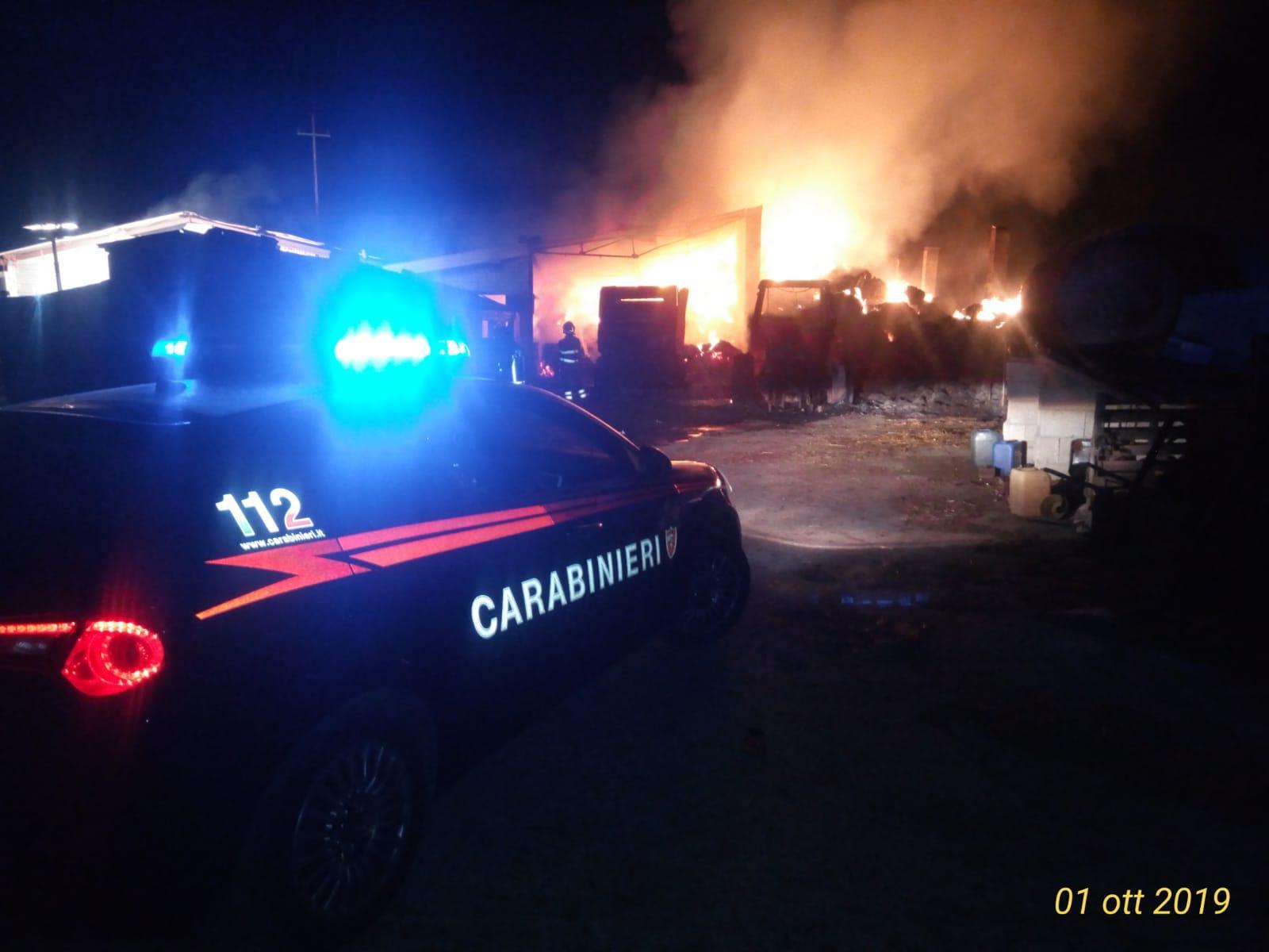 Incendio brucia mille balle di fieno, capanni e attrezzi: danni ingenti in un'azienda