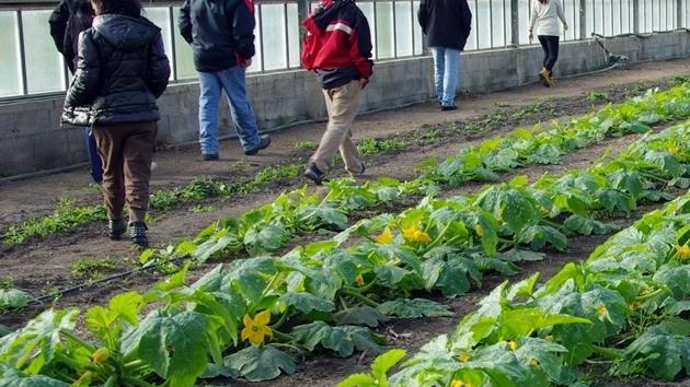 Sardegna e Bulgaria insieme per l’inclusione